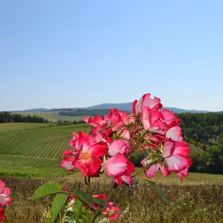 Agriturismo Cignanbianco Castellina in Chianti Eksteriør bilde