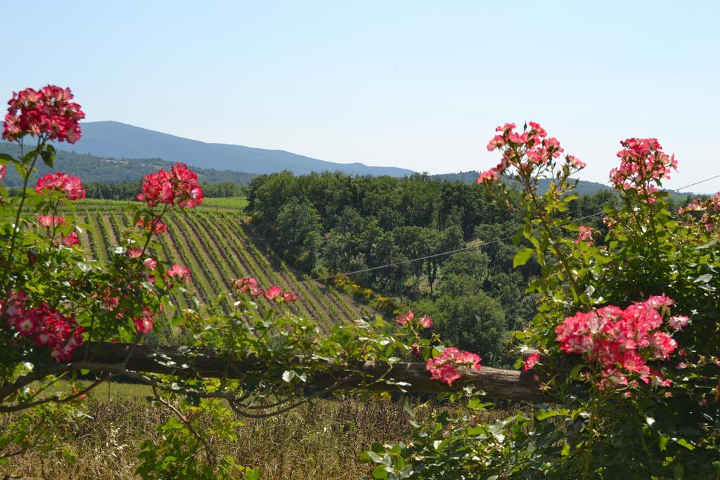 Agriturismo Cignanbianco Castellina in Chianti Eksteriør bilde