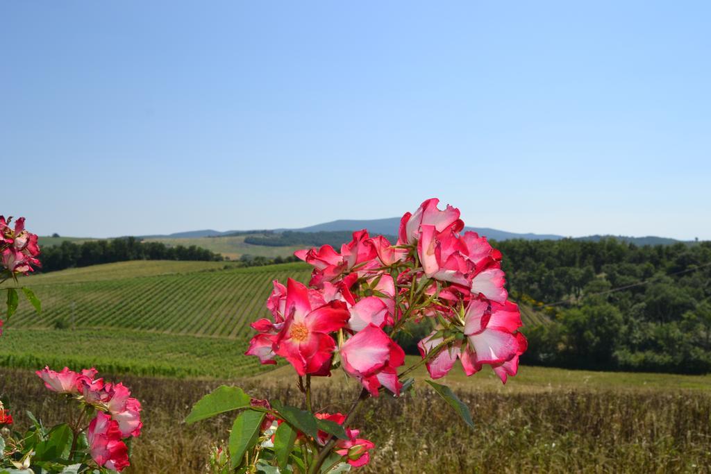 Agriturismo Cignanbianco Castellina in Chianti Eksteriør bilde